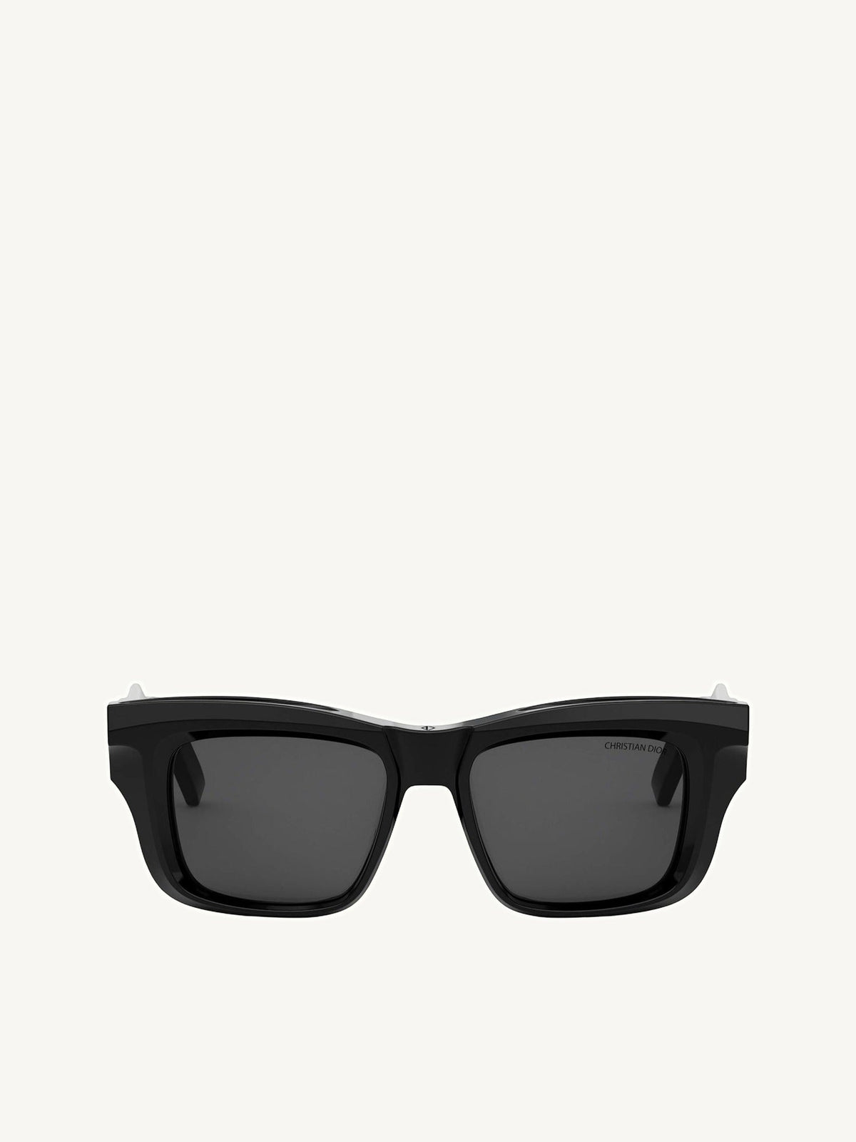 Dior DIORXPLORER S2F 10A052 Sunglasses in Black