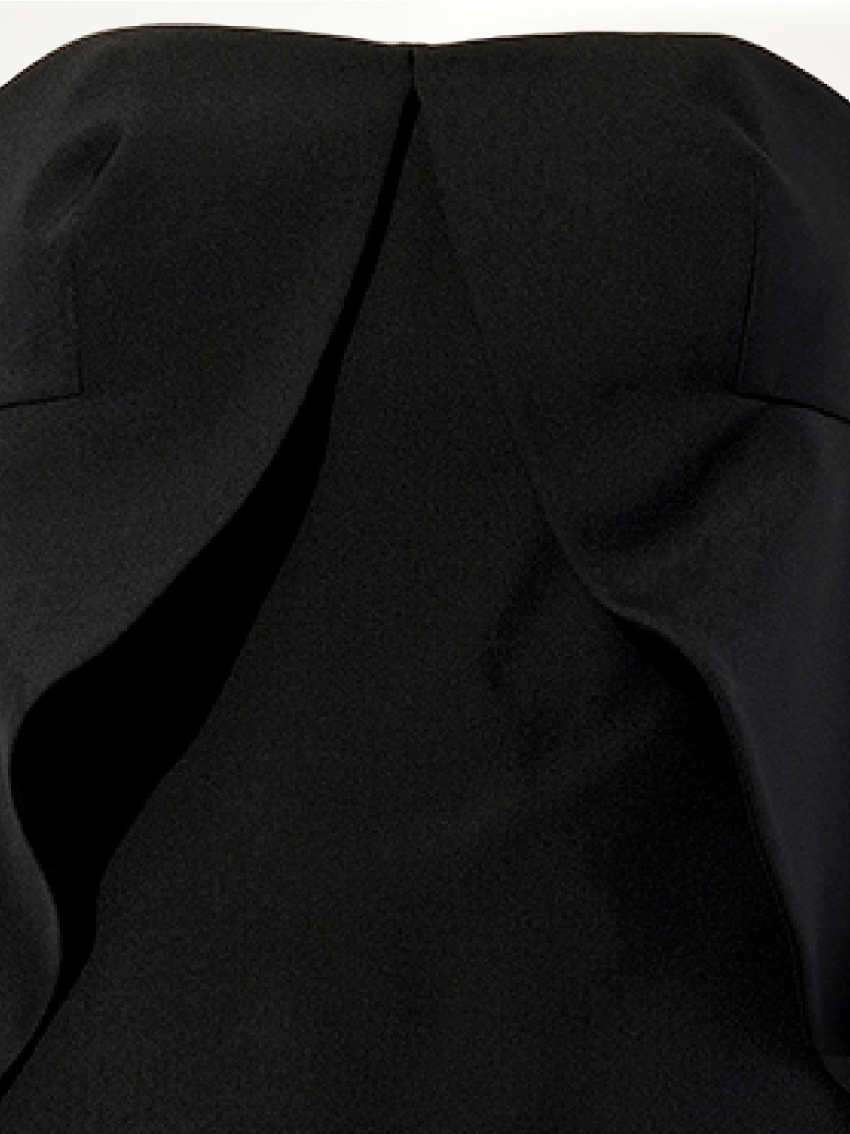 Swan Dress in Black