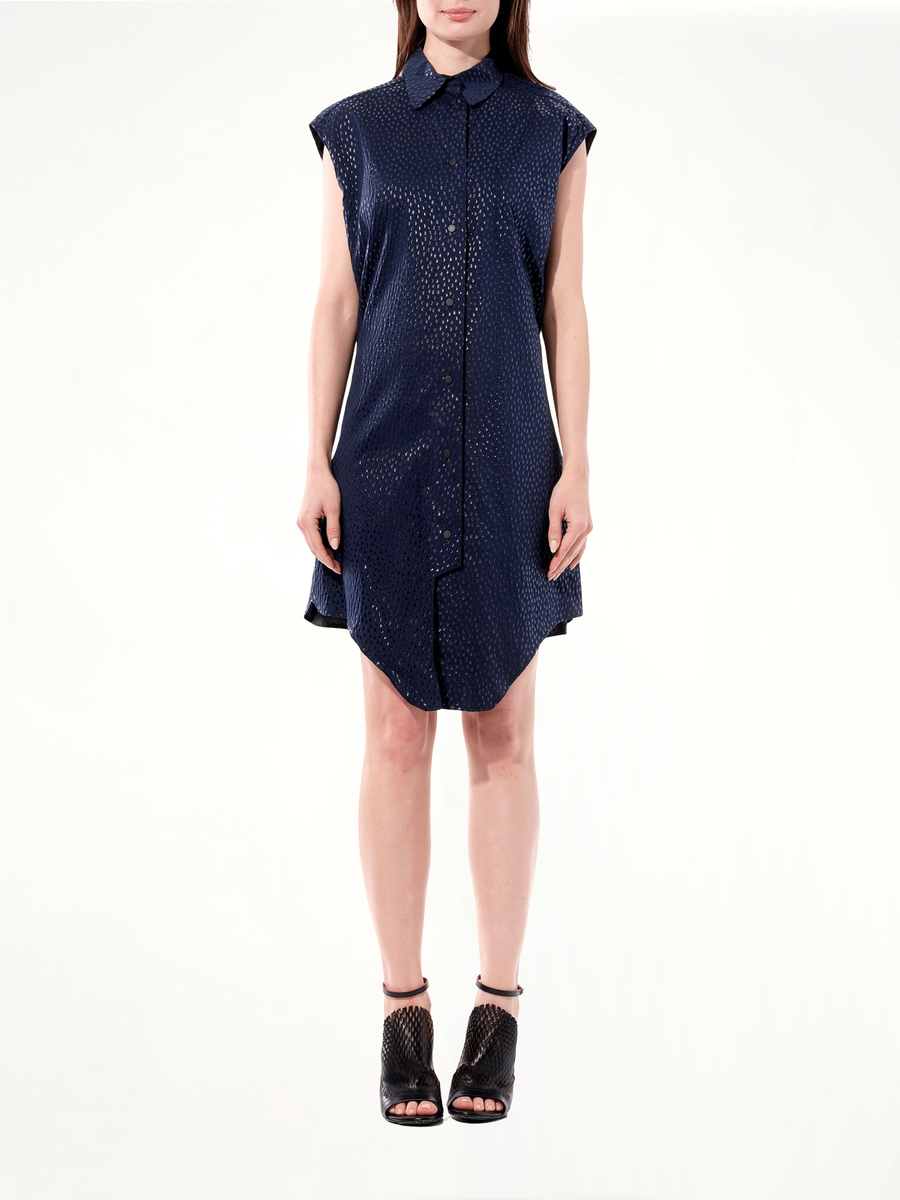 Dress in Blue