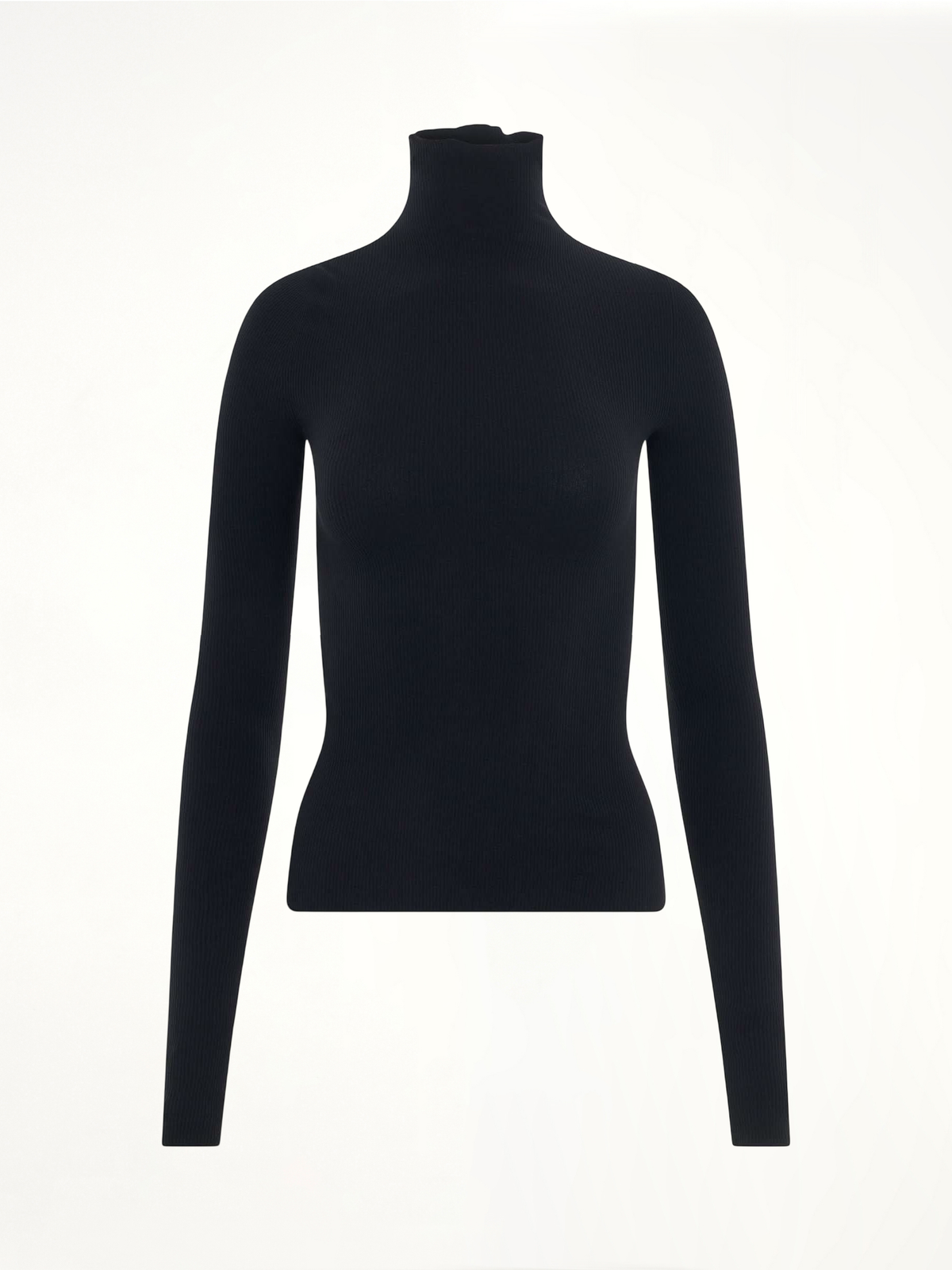 Turtleneck Sweater in Black