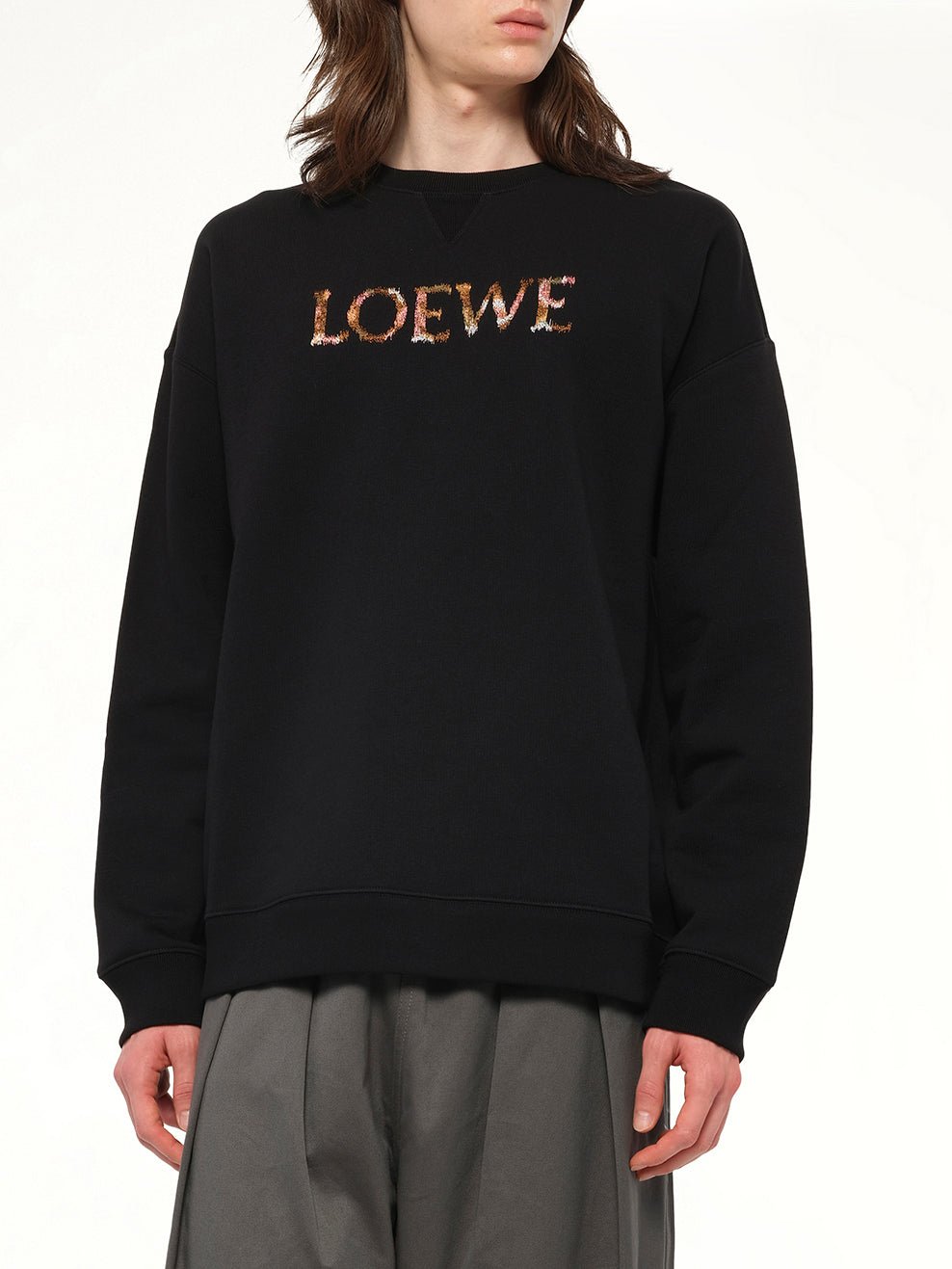 Regular Fit Sweatshirt in Black