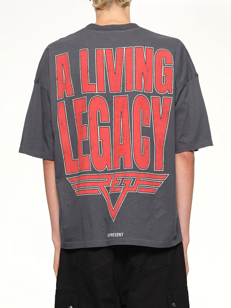 Reversible Living Legacy Falcon T-Shirt in Sun Fade Grey