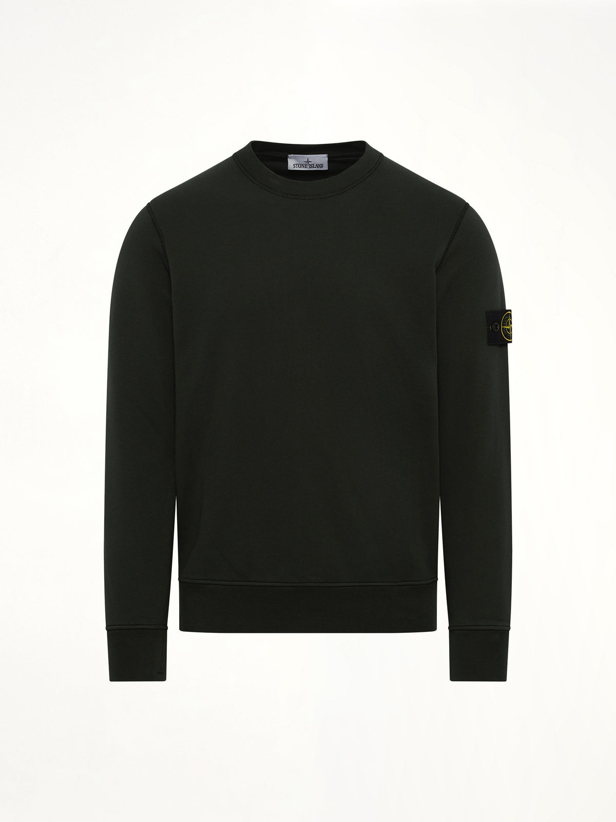 610006 Crewneck Sweatshirt in Juniper