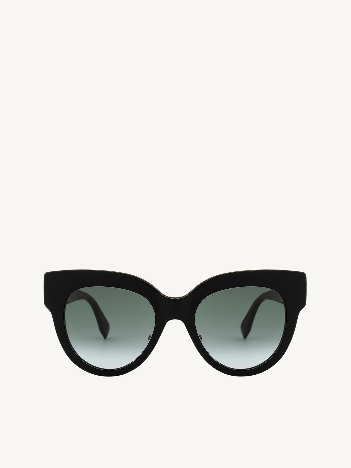 Fendi Sunglasses Ff 0360/G/S in Black