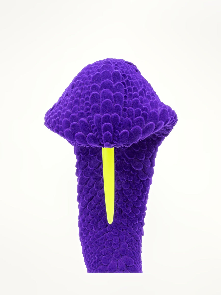 Brad Gunn The Dead and Delicate in Purple