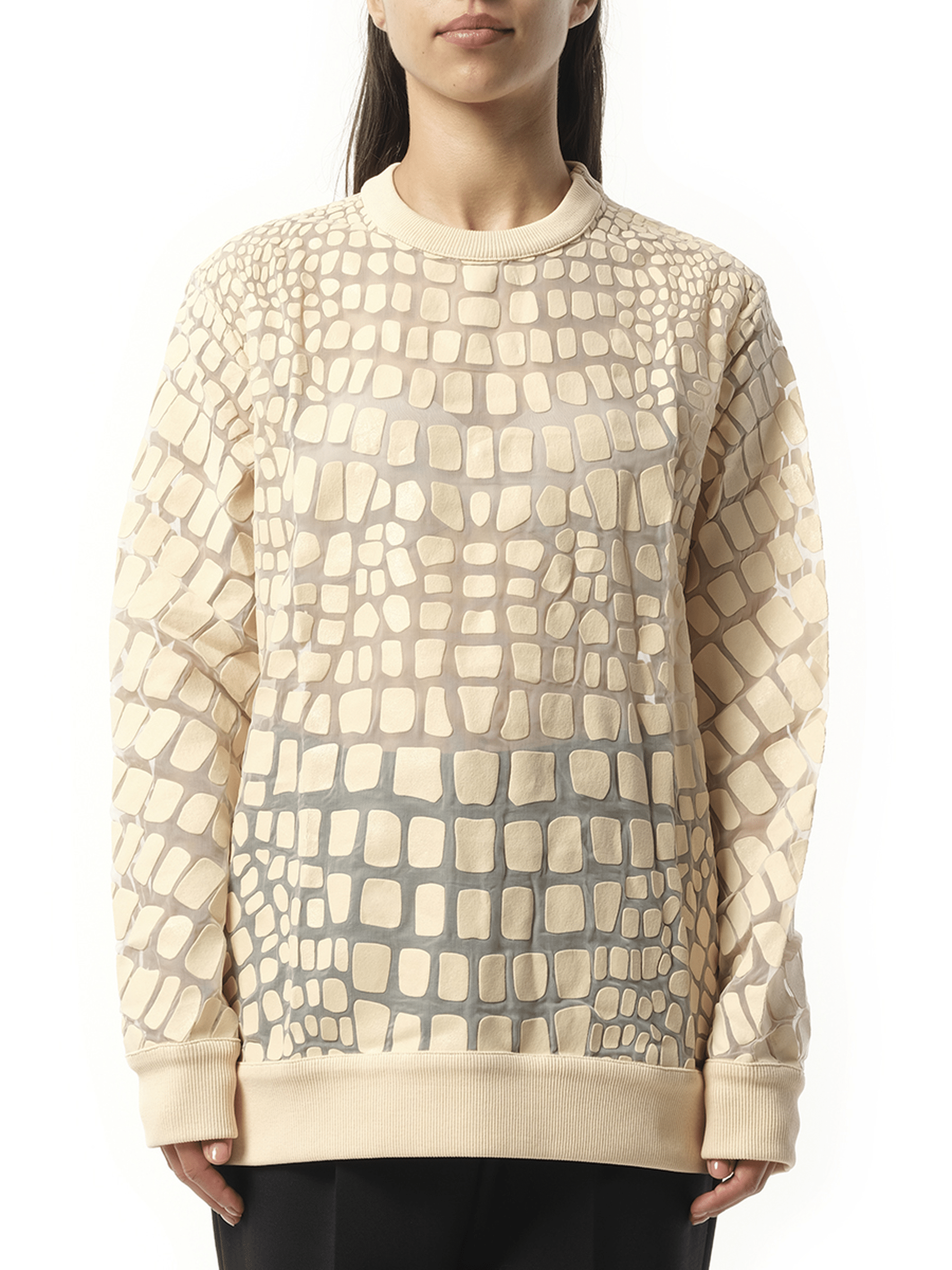 Sweatshirt in Powder