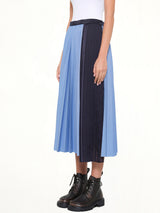 Poplin Pleat Skirt in Blue Stripe