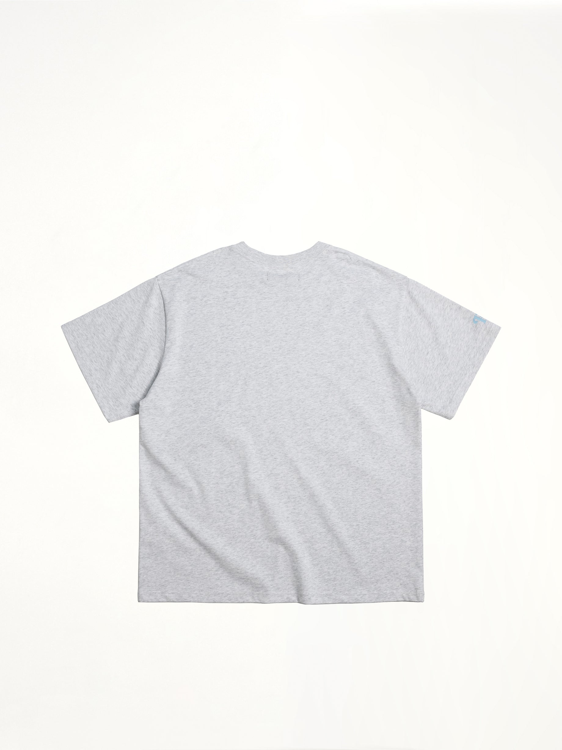 J Carnival II World Tour Frozen World T-Shirt in Grey