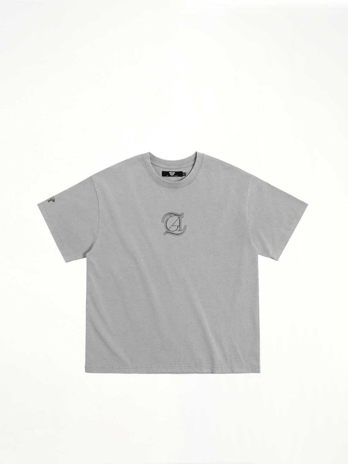 J Carnival II World Tour Album Washed T-Shirt in Light Grey