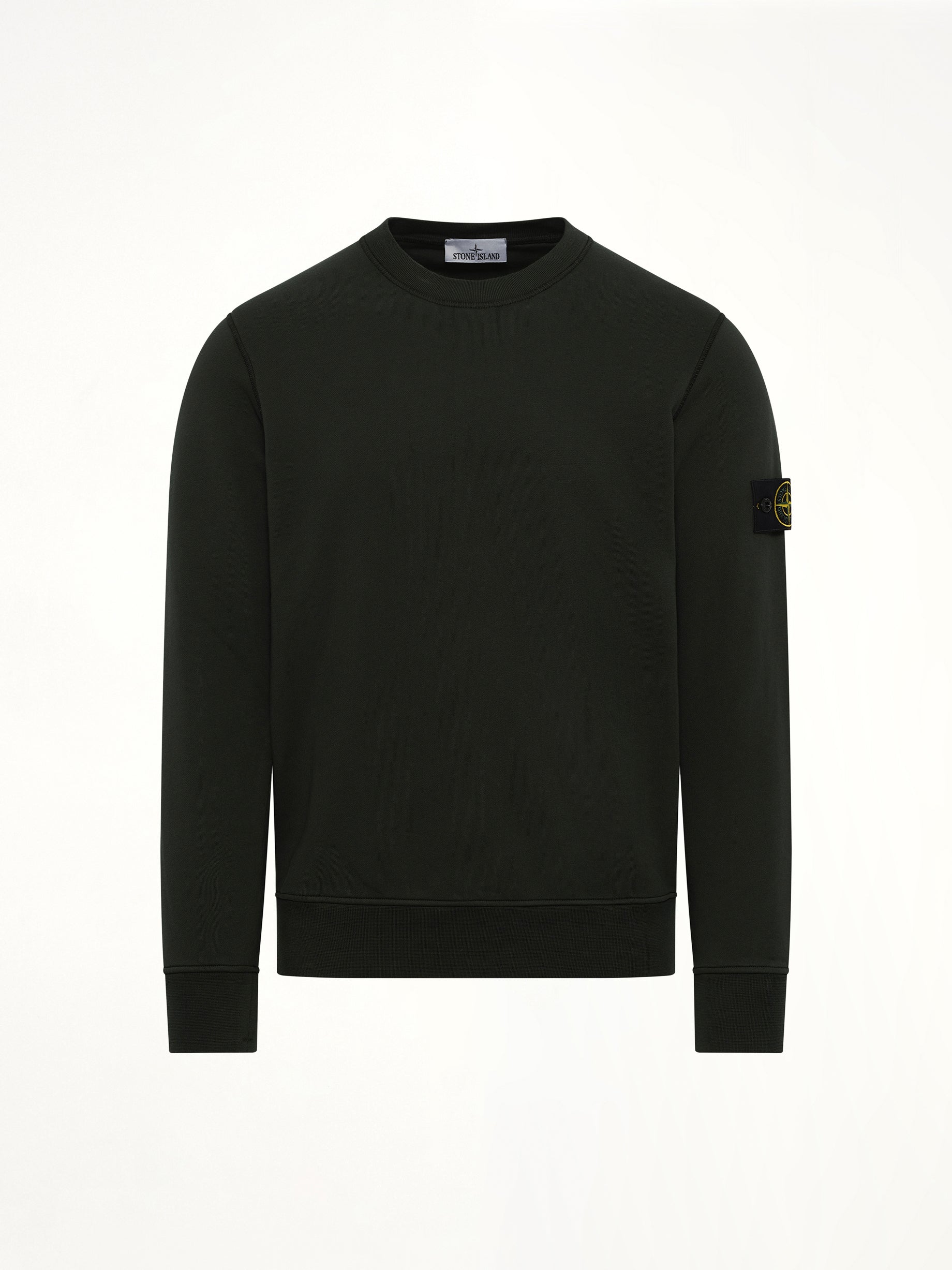 610006 Crewneck Sweatshirt in Juniper